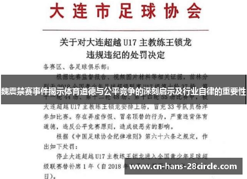 魏震禁赛事件揭示体育道德与公平竞争的深刻启示及行业自律的重要性