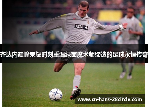 齐达内巅峰荣耀时刻重温绿茵魔术师缔造的足球永恒传奇